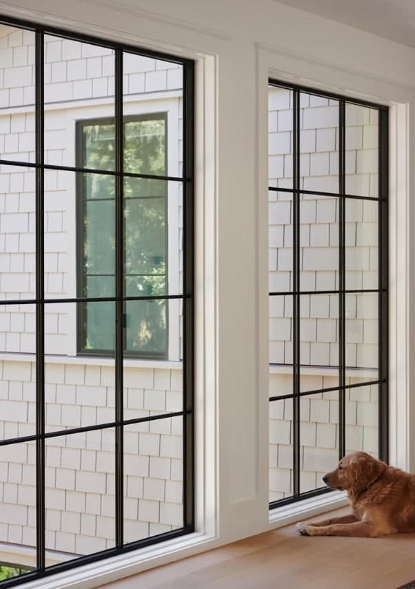 Floor-to-ceiling black-framed Marvin divided-light windows in a bright room, a golden retriever resting on the sill, overlooking a shingle-sided coastal home